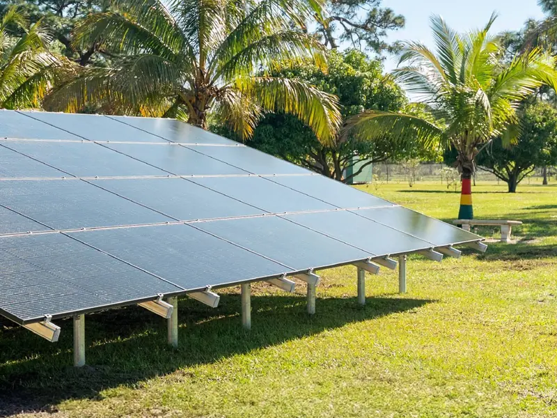 Ground-mounted solar array on a lawn with palm trees behind it